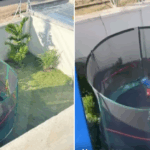 trampoline vs sensory play mats for autism Kenya